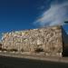 Desert Drift Wood Installation